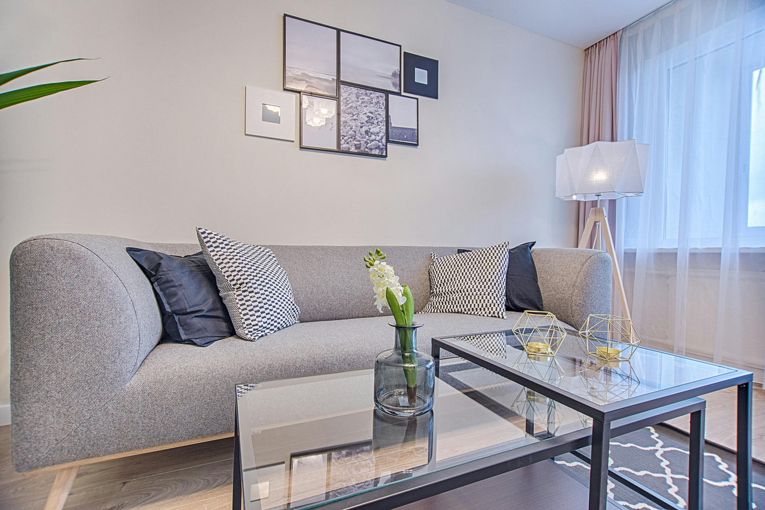 Living Room Decor & Modern Home Accessories Essentials