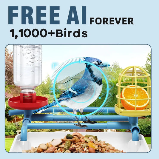 AI Bird Feeder Night Vision 2K HD Identifies 1100+ Birds