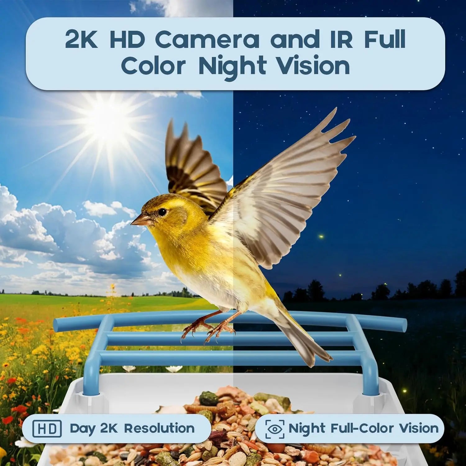 AI Bird Feeder Night Vision 2K HD Identifies 1100+ Birds