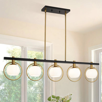 Modern Chandelier Pendant Light 5 Light Adjustable Glass Shades Black