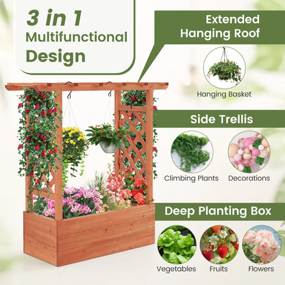 Wooden Raised Garden Bed with Trellis Hanging Roof and Drainage